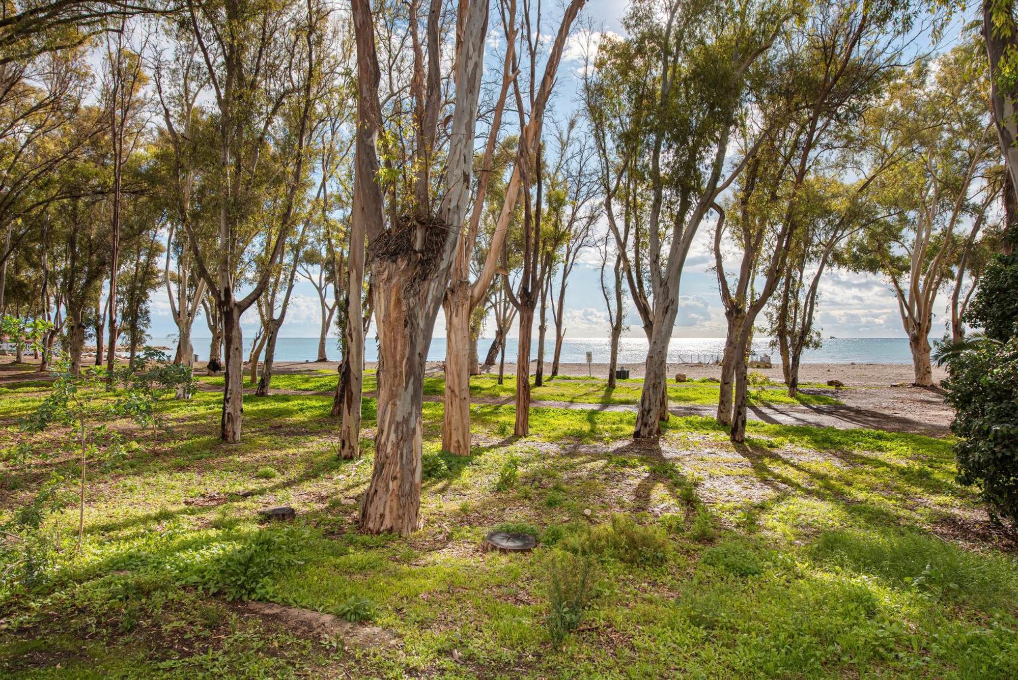 Acogedor Estudio En Pedregalejo Junto Al Mar Málaga Exteriör bild